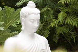 Bouddha et la loi d'attraction
